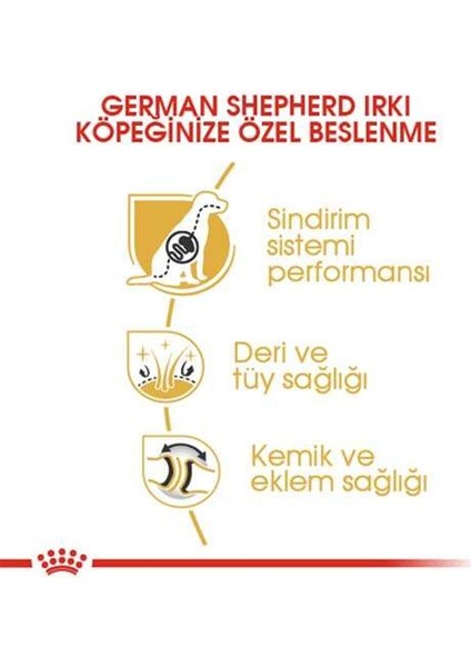 German Shepherd Alman Çobanköpeği Yetişkin Kuru Köpek Maması 11kg