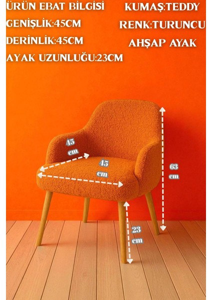 Alessa Peluş Teddy Kumaşlı Ahşap Ayaklı Salon & Makyaj Sandalyesi Dekoratif Sırtlı Puf Berjer fiyatları