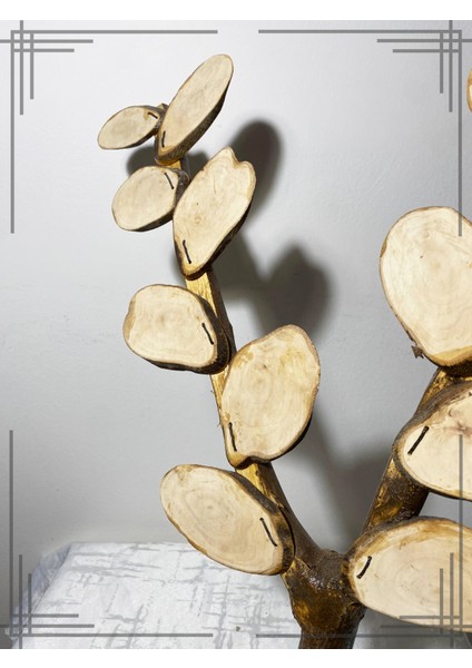 Öğretmenler Gününe Özel Tasarım Zeytin Ağacından Isimli Sınıf Ağacı modelleri