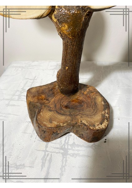 Öğretmenler Gününe Özel Tasarım Zeytin Ağacından Isimli Sınıf Ağacı fırsatları