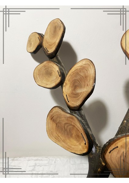 Öğretmenler Gününe Özel Öğrenci Isimli Zeytin Ağacı Tasarımı Sınıfa Özel Çalışma fiyatları