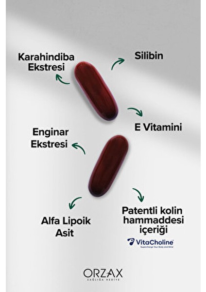 Ocean Hepalex 60 Softjel Kolin ve E Vitamini İçeren Türkiye Menşeli Sporcu Besinleri modelleri