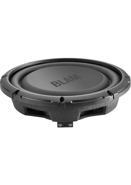 Rs-10.4 25CM Subwoofer (300 Watt)