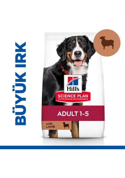 Kuzu Etli Büyük İrk Yetişkin Köpek Maması - 14 Kg fırsatları