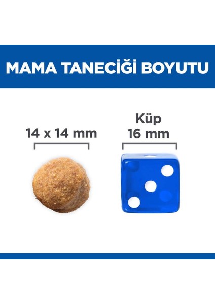 Kuzu Etli Büyük İrk Yetişkin Köpek Maması - 14 Kg