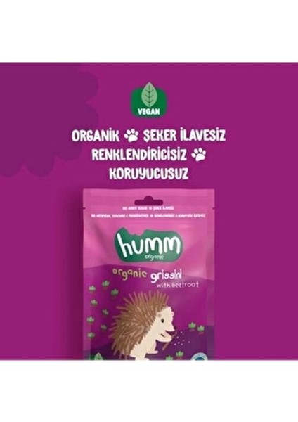 Organik Pancarlı Grissini 55 gr Bebekler İçin Sağlıklı Atıştırmalık Alternatifi fiyatları