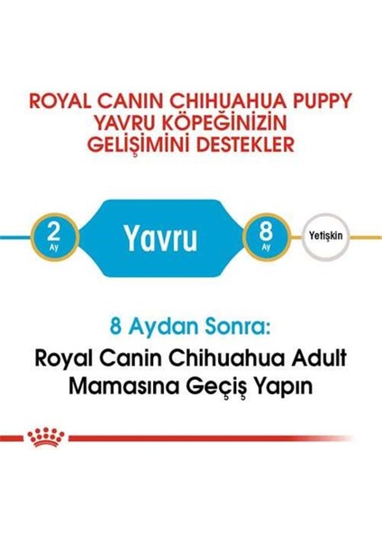 Chihuahua Junior Yavru Köpek Maması 1,5Kg