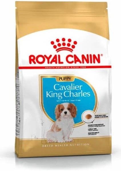 Cavalier King Charles Yavru Köpek Maması 1.5kg