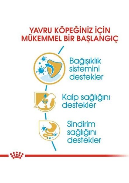 Cavalier King Charles Yavru Köpek Maması 1.5kg