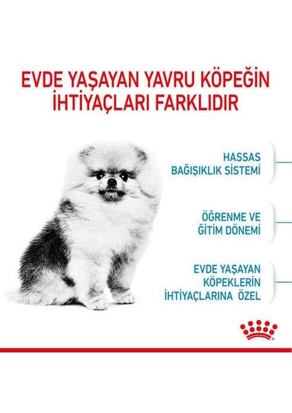 Mını Indoor Puppy Küçük Irklar Için Indoor Yavru Kuru Köpek Mamas