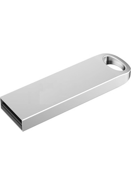 128GB Usb2.0 HS-USB-OEM-128G Metal Flash Bellek