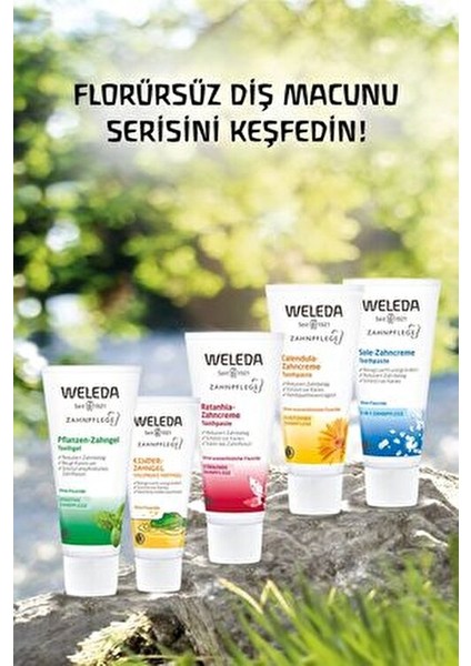 Organik Diş Macunu 75 ml Nane Aromalı Vegan Formül Hassas Diş Etleri için fırsatları