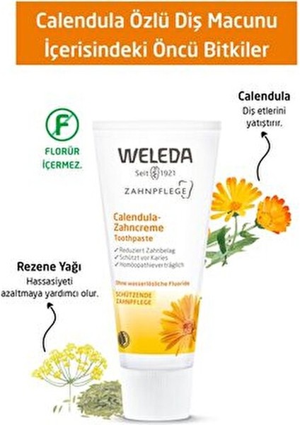 Calendula Özlü Organik Diş Macunu 75 ml Nane Yağı İçermeyen Antiseptik Etkili modelleri