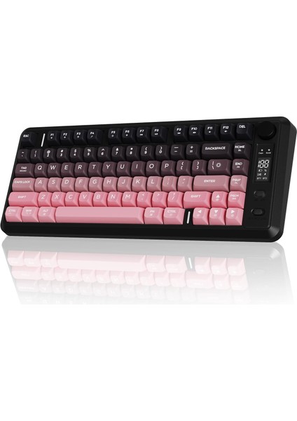 Freewolf M75 Kablosuz Bt+2.4ghz OLED Tft Ekranlı Membran Reinbow Aydınlatmalı Gaming Oyuncu Klavye fiyatları