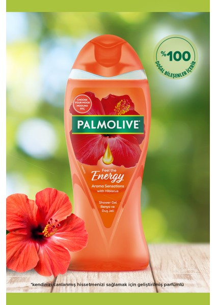 Aroma Sensations Feel The Energy Banyo ve Duş Jeli 500 ml x 2 Adet + Seyahat Seti Hediye fiyatları