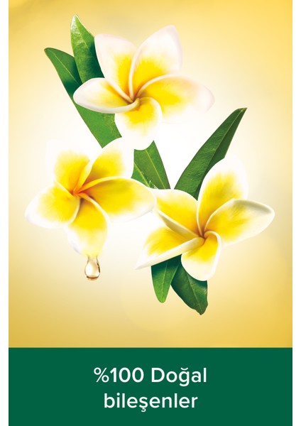 Aroma Sensations Feel Good İpeksi Banyo ve Duş Jeli 500 ml x 2 Adet + Seyahat Kiti Hediyeli fırsatları