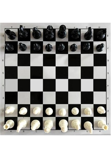 Ahşap Satranç Takımı