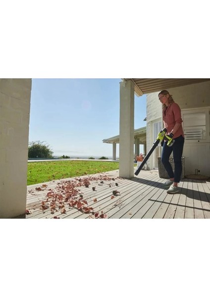 RY18BLCXA-0 18V Akülü Kömürsüz Kompakt Üfleme Makinesi (5133006364) modelleri