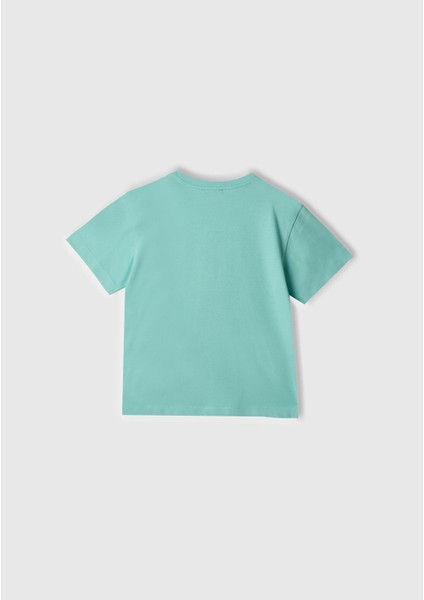 Erkek Çocuk Tshirt 1/6 Yaş 10J6 fiyatları