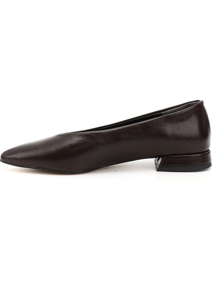 Kadın Kahverengi Sivri Burun Babet modelleri