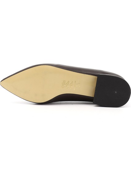 Kadın Kahverengi Sivri Burun Babet fırsatları