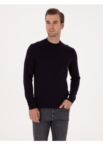 Erkek Mürdüm Slim Fit Yün Karışımlı Çeyrek Balıkçı Yaka Basic Triko Kazak 50315295-VR074 modelleri