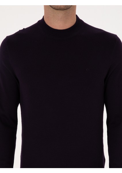 Erkek Mürdüm Slim Fit Yün Karışımlı Çeyrek Balıkçı Yaka Basic Triko Kazak 50315295-VR074