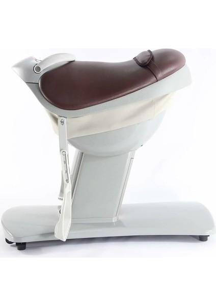 Hipoterapi Cihazı At Binme Simülasyonu | 20 Hız Kademeli ve Dokunmatik Ekranlı VMAXİ0082 fiyatları