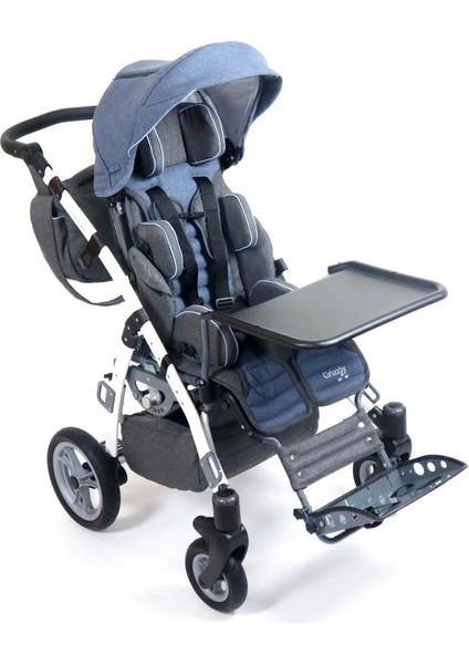 Mywam Grizzly Engelli Çocuk Puseti Full Aksesuarlı | Yatar Sırtlık, Çift Yönlü Montaj, 45 kg Taşıma Kapasiteli