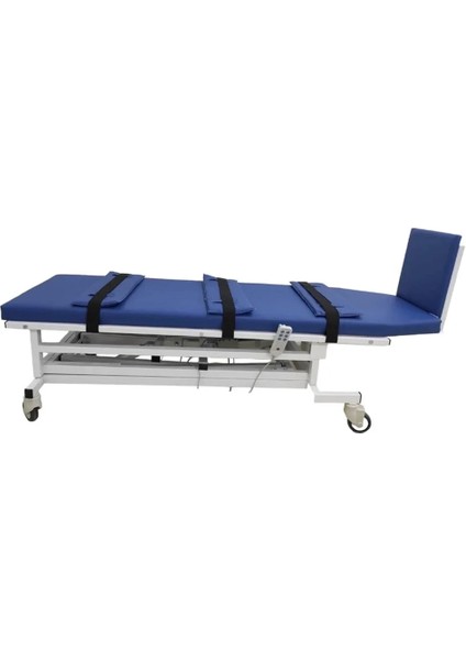 2 Motorlu Tilt Masası | Elektrikli, Ayarlanabilir Yükseklik ve Güvenlik Kemerli Test Cihazı modelleri