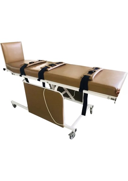 2 Motorlu Tilt Masası | Elektrikli, Ayarlanabilir Yükseklik ve Güvenlik Kemerli Test Cihazı fırsatları