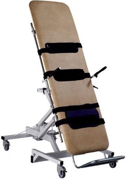 2 Motorlu Tilt Masası | Elektrikli, Ayarlanabilir Yükseklik ve Güvenlik Kemerli Test Cihazı indirimleri