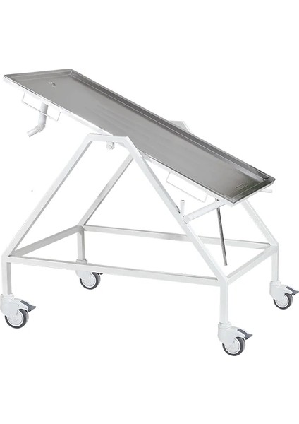 Veteriner Muayene Masası | Eğim Ayarlı, Atık Giderli, Tekerlekli Paslanmaz Çelik Tabla E-278/B