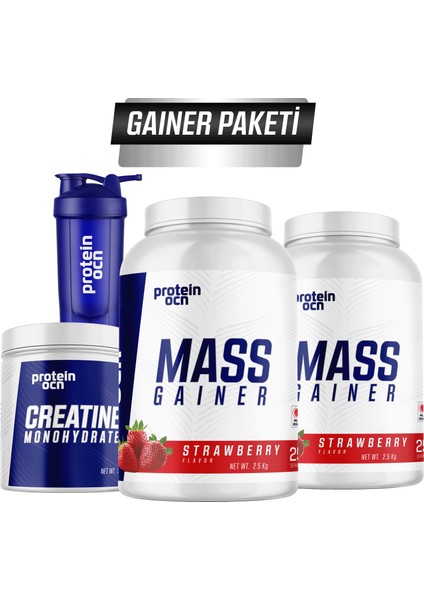 Gainer Paketi - Çilek