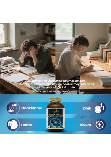 Mind Focus Aslan Yelesi Mantarı, Sitikolin, Rhodiola, L-Theanin .. (1440MG) | Akıllı Gıda Takviyesi fırsatları