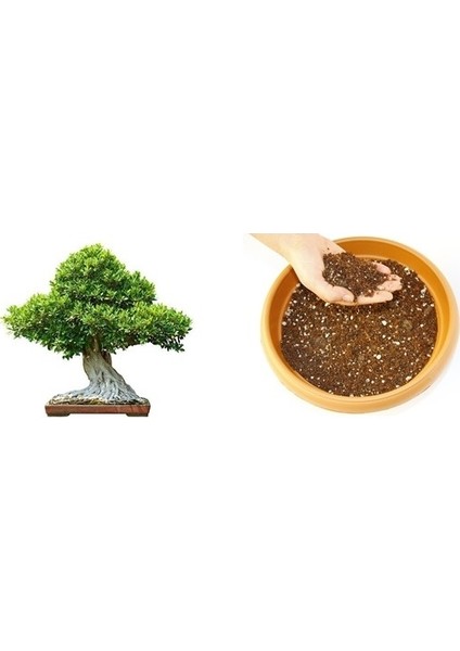 BONSAİ TOPRAĞI - ÖZEL KARIŞIM 5 Litre fiyatları