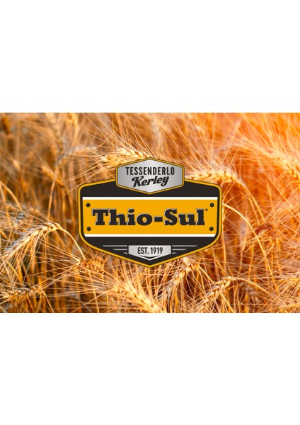 Thio-Sul 20 Lt Amonyum Tiyosülfat