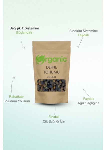 Defne Tohumu 200 gr | Taze ve Doğal Defne Tohumu | Kurutulmuş & Elenmiş Katkısız fiyatları