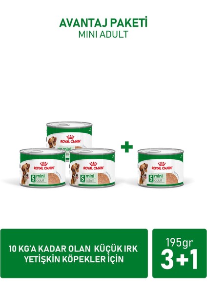 Mini Adult Küçük Irklar için Yaş Konserve Köpek Maması 3 + 1 Hedi