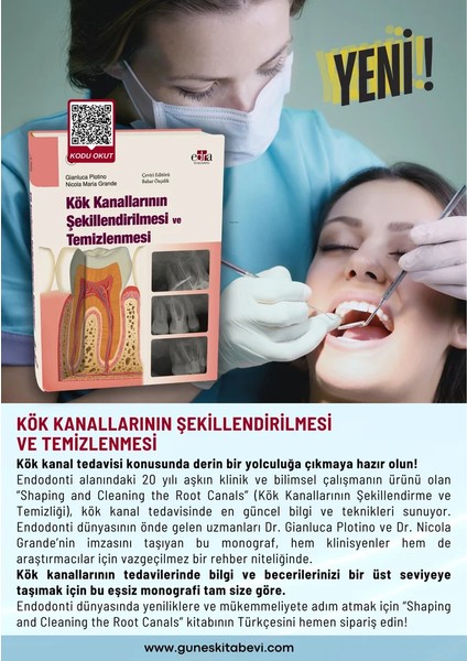 Kök Kanallarının Şekillendirilmesi ve Temizlenmesi modelleri