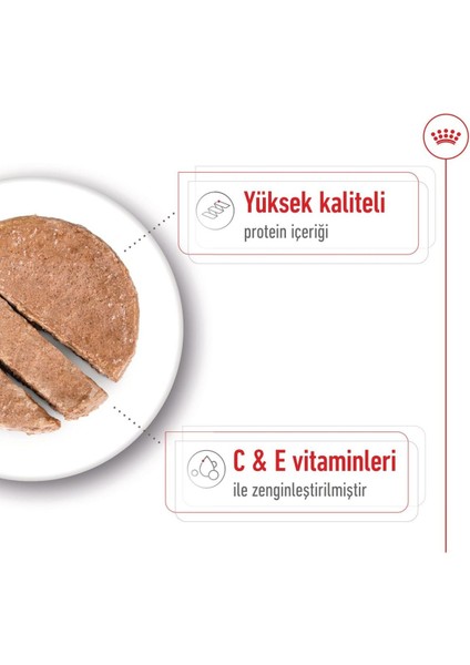 Medium Adult Konserve 3 + 1 Hediye 410 Gr modelleri