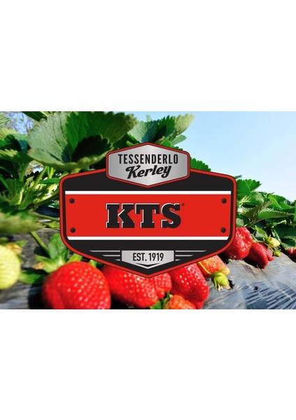 Kts 20 Lt Potasyum ve Iki Ayrı Formda Kükürt Içeren Sıvı Gübre