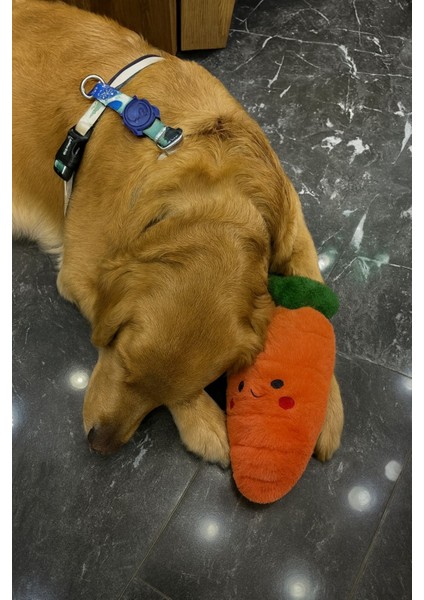 Tombik Havuç Peluş Köpek Oyuncağı | Vikvik ve Hışırtı Sesli Turuncu Köpek Oyun Uyku Arkadaşı fiyatları