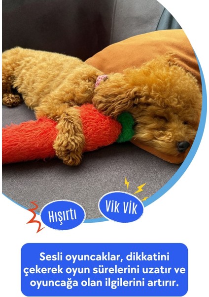 Tombik Havuç Peluş Köpek Oyuncağı | Vikvik ve Hışırtı Sesli Turuncu Köpek Oyun Uyku Arkadaşı fırsatları