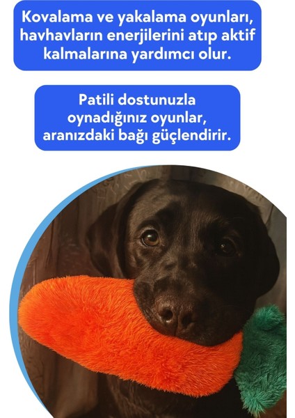 Tombik Havuç Peluş Köpek Oyuncağı | Vikvik ve Hışırtı Sesli Turuncu Köpek Oyun Uyku Arkadaşı