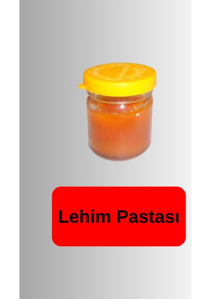 4'lü Lehim Makinesı Seti 60W Havya Kalemi Tel Lehim Pastası Elektrik Bandı modelleri