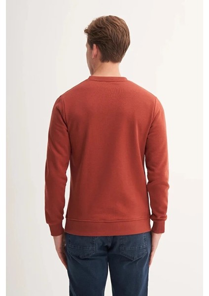 Slim Fit Mevsimlik 3 Iplik Pamuk Karışımlı SWEATSHIRT-54185 modelleri