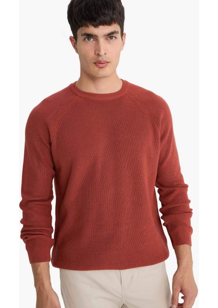 Standart Fit Bisiklet Yaka Triko Kazak A8458AX25WN modelleri