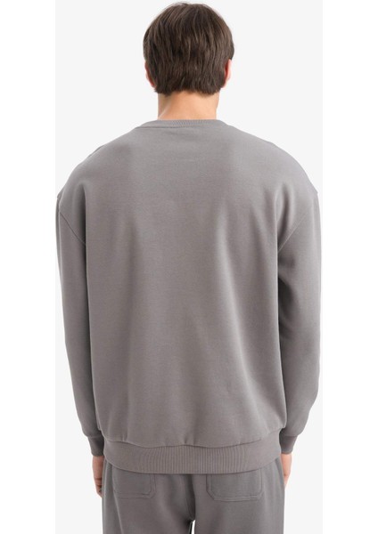 Boxy Fit Bisiklet Yaka Basic Düz Pike Sweatshirt E1519AX25AU