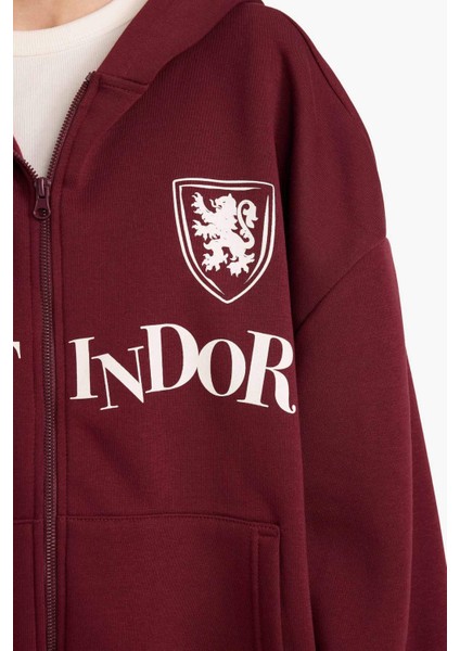 Coool Harry Potter Oversize Geniş Kalıp Kapüşonlu Fermuarlı Sweatshirt F8940AX25AU indirimleri